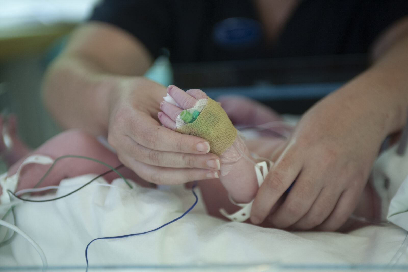 Premature baby holds mothers hand