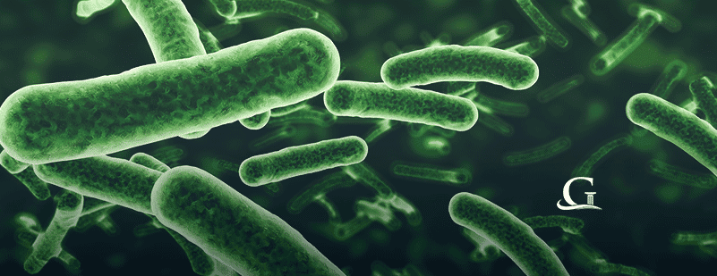 Bacteria - Infection Closeup Stock Photo