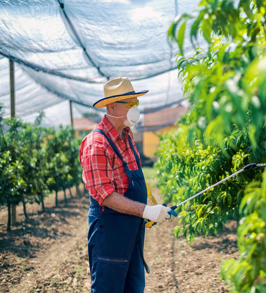 man spraying Roundup® on his plants