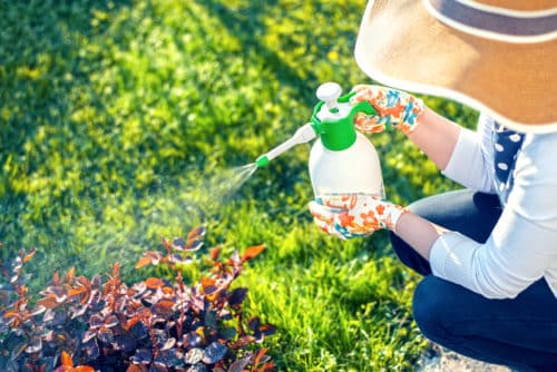 woman using Roundup® for her home garden