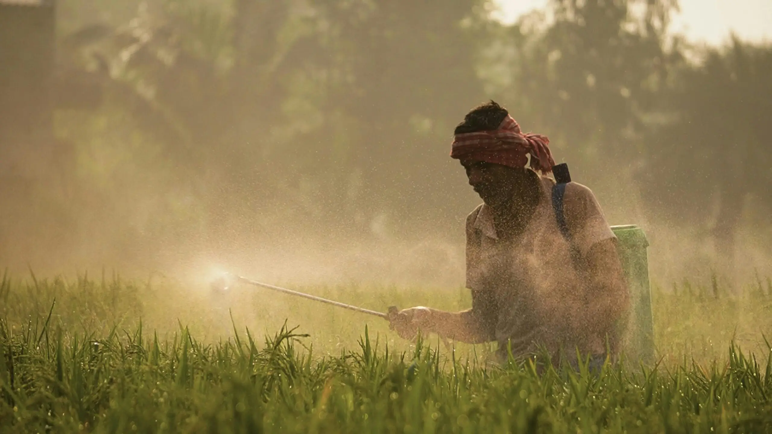 Dacthal DCPA Pesticide Lawsuit exposure